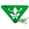 Badge lvt - Grenouille - CARRICK France