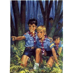 Poster Louveteaux - CARRICK France