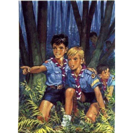 Poster Louveteaux - CARRICK France