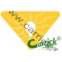 Badge lvt - Electricien - CARRICK France