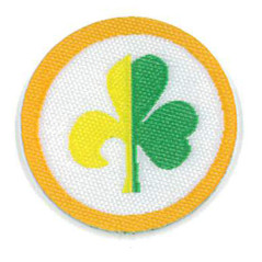 Badge Trèfle et Lys - FEE - CARRICK France