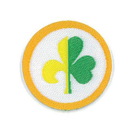 Badge Trèfle et Lys - FEE - CARRICK France