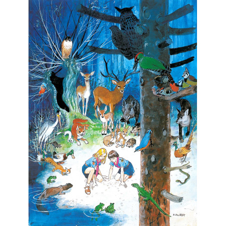 Poster Féerie des bois - CARRICK France