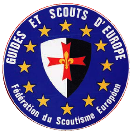 Autocollant - Rond GSE - CARRICK France