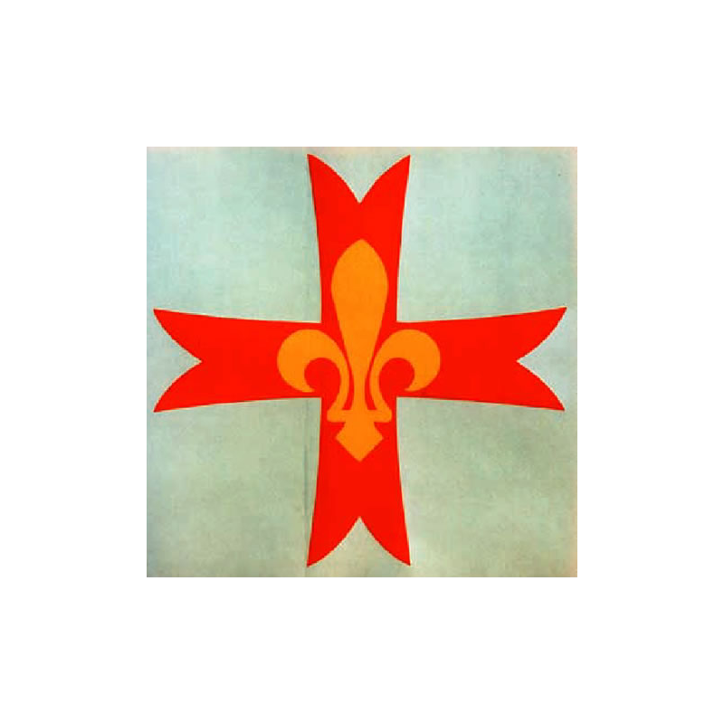 croix GSE - gd modèle - vitro
