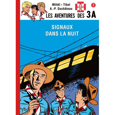 Signaux dans la nuit - 3A - CARRICK France