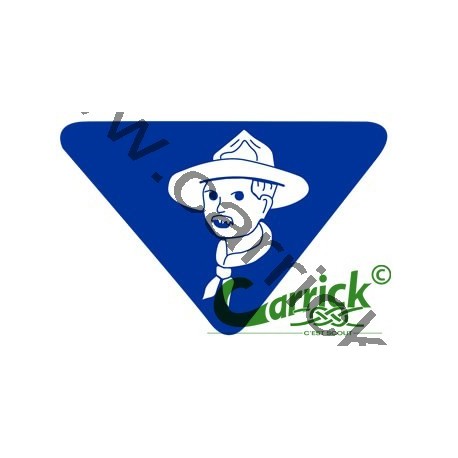 Badge lvt - Baden Powell