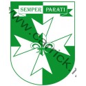 Insigne 2° CLASSE - EUROPA - CARRICK France