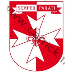 Insigne 1° CLASSE - EUROPA - CARRICK France