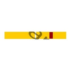 Barrette de fonction - louvetisme - jaune - CARRICK France