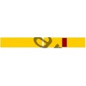Barrette de fonction - louvetisme - jaune - CARRICK France