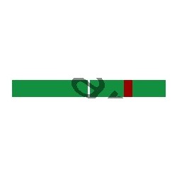 Barrette de fonction - éclaireurs ( ses) - vert - CARRICK France
