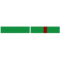 Barrette de fonction - éclaireurs ( ses) - vert Barrette de fonction - éclaireurs ( ses) - vert
