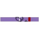 Barrette de fonction - district - violet - CARRICK France