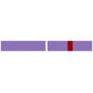 Barrette de fonction - district - violet Barrette de fonction - district - violet