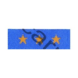 Barrette de fonction - équipe fédérale UIGSE - CARRICK France