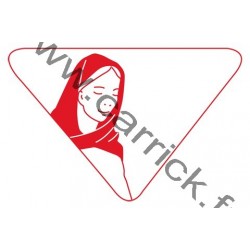 Badge louvetisme GSE - A l'école de Marie - CARRICK France