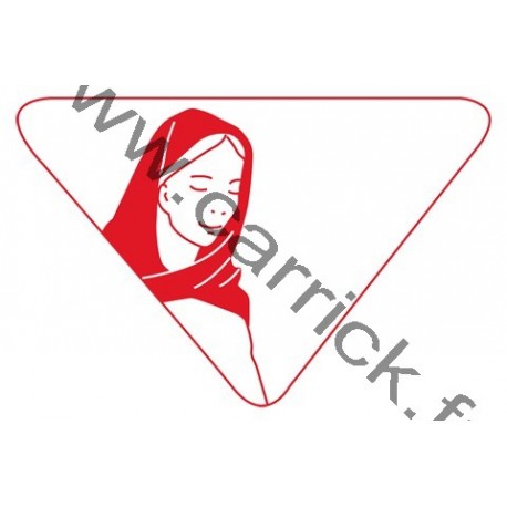 Badge louvetisme GSE - A l'école de Marie