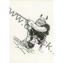 CP -  Le Viking - CARRICK France