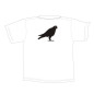 T.Shirt FAUCON T.Shirt FAUCON