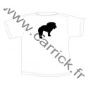 T.Shirt LION - CARRICK France