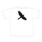 T.Shirt EPERVIER