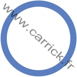 Badge Animateur Spi - ENF - CARRICK France