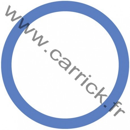 Badge Animateur Spi - ENF