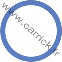 Badge Animateur Spi - ENF - CARRICK France