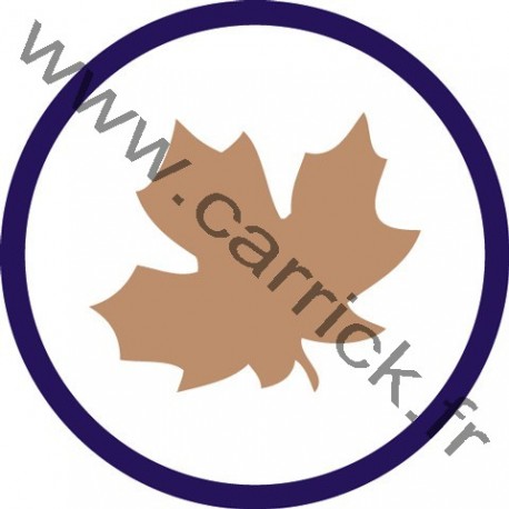 Badge Botaniste - ENF