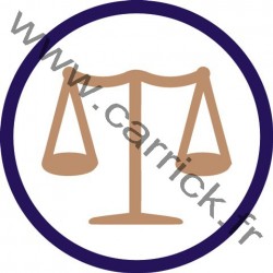 Badge Intendant Trésorier - ENF - CARRICK France
