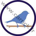 Badge Ornithologue - ENF - CARRICK France