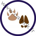 Badge Pisteur - ENF - CARRICK France