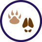 Badge Pisteur - ENF