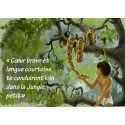 CP - La chasse de Kaa