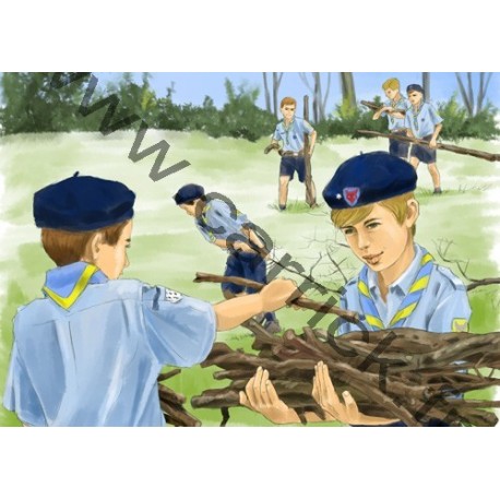 CP - Service de bois