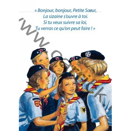 CP - Patte Tendre à la Clairière