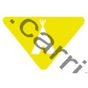 Badge louvetisme GSE - Bon campeur - CARRICK France
