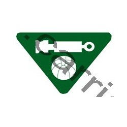 Badge louvetisme GSE - Bon joueur - CARRICK France