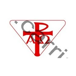 Badge louvetisme GSE - Témoin du Christ - CARRICK France