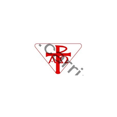 Badge louvetisme GSE - Témoin du Christ
