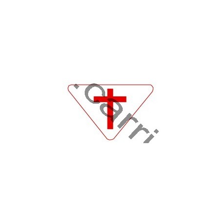 Badge louvetisme GSE - Evangéliste