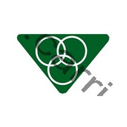 Badge louvetisme GSE - Gymnaste - CARRICK France