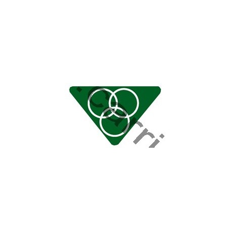 Badge louvetisme GSE - Sportif