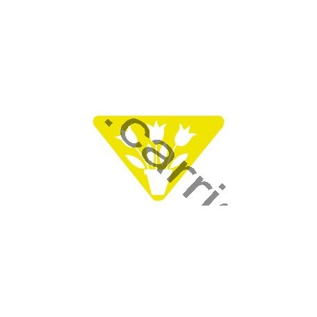 Badge louvetisme GSE - Jardinier Badge louvetisme GSE - Jardinier