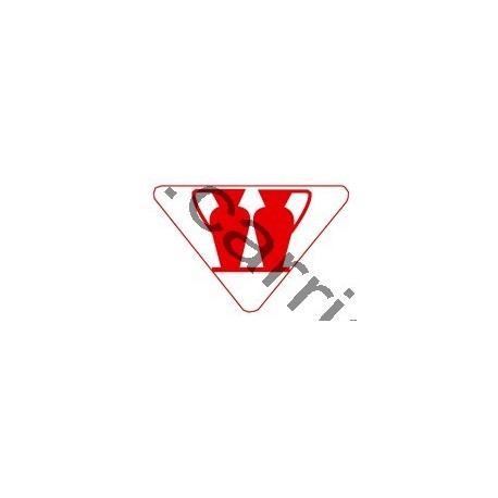 Badge louvetisme GSE - Servant de messe