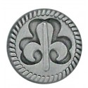 Insigne civil FEE