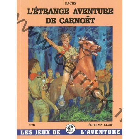 L’étrange Aventure de Carnoët L’étrange Aventure de Carnoët