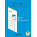 Le scoutisme pour les ENF. - CARRICK France