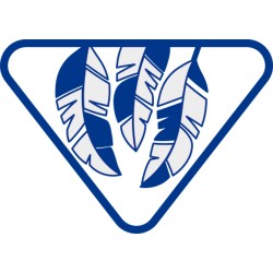 Badge lvtx Collectionneur - ENF
